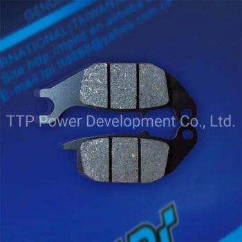 Raider150 Motorcycle Brake Pads SGS Non-Asbestos MOQ300 30D MOQ 300 PCS Origin China Trademark LPI HS Code 871410 Delviery 30 Days - TTP Power Development Co., Ltd. - China