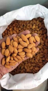 Almond - BF GLOBAL TRADING (PTY) LTD - South Africa