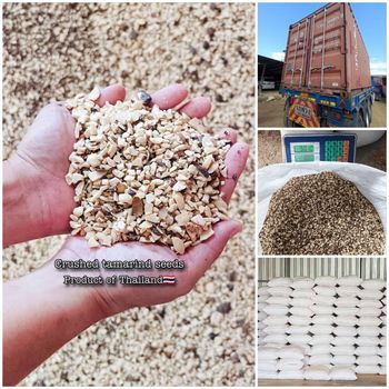Broken tamarind seed - คุณว้าเทรดดิ้ง - Thailand