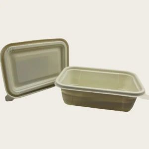 Biodegradable Lunch Disposable Box Food Container Disposable Clamshell Lunch Box - Hebei Shengjin Package Co., Ltd. - China