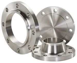 Weld Neck/Slip on/Blind Forged Steel Pipe Flange - CANGZHOU BEWIN PIPELINE CO., LTD. - China