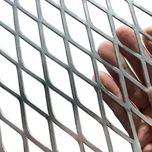 Stainless Steel Wire Mesh Metal Perforated Expanded Metal in Rhombus Mesh - Dingzhou shengbo Metal Products Co., Ltd. - China