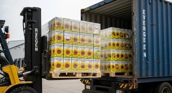 Refined Sunflower Oil With Exceptional Purity Levels And Clean Processing For International Buyers And Food Industry from PLANETE COMMERCE Refined Sunflower Oil With Exceptional Purity Levels And Clean Processing For International Buyers And Food Industry - PLANETE COMMERCE - France