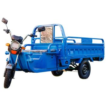 3 Wheel Cargo Electric Tricycles Trike Bike Motorcycle Vehicle - Shandong Dabang Environmental Technology Co., Ltd. - China