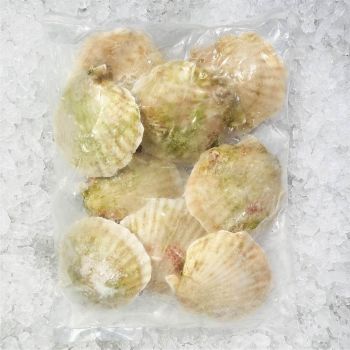 Top Quality Frozen Queen Scallops Cleaned Natural Sweet Flavor Ready to Cook Bulk Supply for Hotels Restaurants and Wholesale - PILOTEXPORT IMPORT AND EXPORT LTD - South Africa