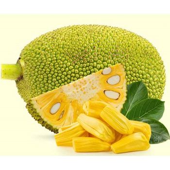 High Quality Fresh Sweet Jackfruit Delicious Tropical Fruit from Vietnam Organic Agriculture Product - MIGHTY ASIA COMPANY LIMITED - Vietnam