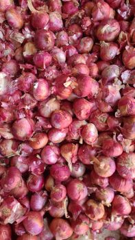 Fresh Red Onion from VS Exports Fresh Red Onion - VS Exports - India