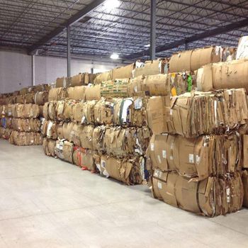 Occ Paper Scraps For Sale - MFD AGRICULTURE LTD - United Kingdom