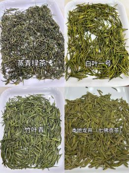 all types of Chinese teas - Jasmine - Global