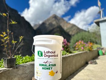 Agricultural By-products - DEXIMCO - India