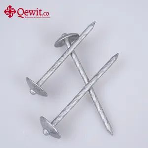High Quality Electro Galvanized Umbrella Head Roofing Nails at Low Price - Qewitco Fasteners Co., Ltd - China