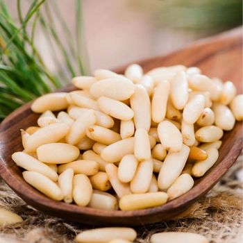 Premium Quality Pine Nuts for Export - Mutlu Et Mustafa - France