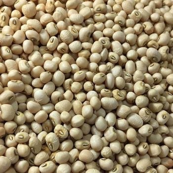 Premium Export Quality Black Eyed Peas Bulk Supply For Global Food Processing Buyers Seeking Clean Natural Black Eyed Peas - THE GREEN INTERNATIONAL LIMITED - Tanzania