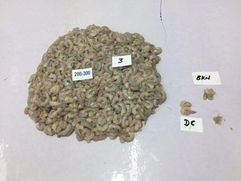 FROZEN VANNAMEI PUD SHRIMPS BLOCK Size 200/300 Net Weight 2 Kg Packaging 6 Packs Of 2 Kg Packing Configuration 6x2 Kgs Shipment Date On Or Before 10.2.26 - Seahawkfoods india  - India