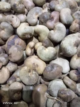 Cashew nuts - Les Artisan du Monde - Canada