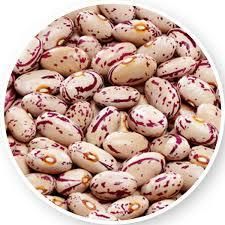 Premium Sugar Beans (Red Speckled Beans / Pinto Beans) Grade A Type Seed Grain Size Uniform Color Red Speckled Flavor Rich And Mild - TRADE NEPAL LLC - United States
