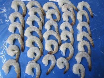 Frozen Shrimp Prawn and Tilapia Fillets from OCEAN SEAFOOD INT Frozen Shrimp Prawn and Tilapia Fillets - OCEAN SEAFOOD INT - United States