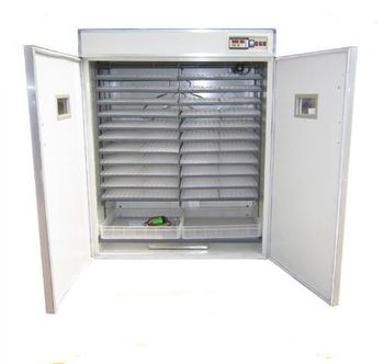 3872 chicken,Poutry,duck eggs incubator/hatcher - YUTIAN FUTAI INTERNATIONAL TRADE CO., LTD. - China