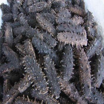 Dried Sea Cucumber Grade A Shape Strip Color Black Style Dried Packaging Box Origin Vietnam Type Sea Cucumber Shelf Life 2 - GOLDEN STAR BV - South Africa