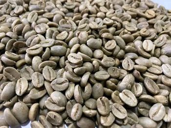 Green Coffee Beans – product photo, Long Green Beans products found from trusted suppliers, wholesalers, manufacturers & exporters Listing