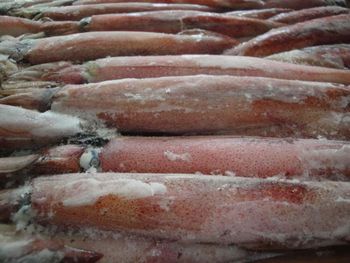 Frozen Calamari Whole Cleaned Premium Seafood For Export Supply With Uniform Texture And 98% Natural Freshness Standards - TOSOH INTERNATIONAL - South Africa