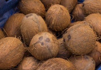 Fresh Dehusked Coconut, Fresh Semi-Husked Coconut Origin Nigeria Packaging Export Cartons Or Mesh Bags (as - Danoor Exports - Nigeria