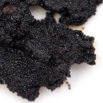 Vanilla Bean Caviar - cv hanjaya teknologi indonesia - Indonesia
