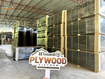Film Faced Plywood - Plywood ThanhdoLLC - Vietnam