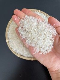 Premium Quality Calrose Rice - Medium Grain Rice Mouthfeel Balanced Grain Size Uniform Starch Content High Flavor Mild, Neutral - MARIOX TRADING - Malaysia