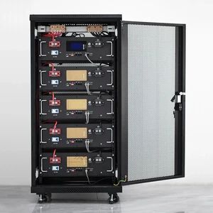 Custom 48V 200ah LiFePO4 Pack with Battery Monitoring for Solar Farms, Power Tools and EV Charging Stations - Guangdong Wenrui New Energy Co., Ltd. - China