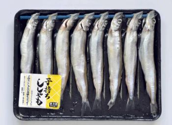 Frozen Capelin, Frozen Shishamo, Frozen Mackerel Pike Type Fish Origin China HS Code 030369 Model NO. FWR-02 Trademark - Dacheng International Trade Co., Ltd. - China