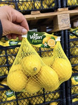 Lemon mayer - İFG TARİM GIDA SANAYI VE DIŞ TİCARET LİMİTED  ŞİRKETI - Turkey