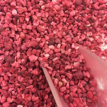 Freeze Dried Raspberry Pieces 100g - Premium Freeze-Dried Fruit Bits - 100% Natural, No Added Sugar or Preservatives - BOLIDO NETHERLANDS B.V. - Netherlands