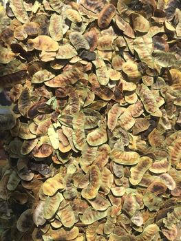 senna leaves - Khirat Baladna KB for import & export - Egypt
