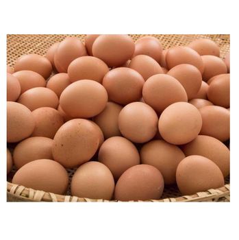 Best Quality Fresh Brown Table Chicken Eggs Cheap Fresh Chicken Table Eggs Fresh Chicken in bulk Brown Eggs -  CALIPSO POLSKA SP Z OO  - Poland