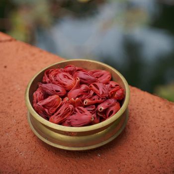 Export Grade Whole Mace Spice Wholesale Supplier Premium Natural Dried Mace Blades for Culinary, Medicinal, Food Manufacturing, Bulk Orders, Private Label Packaging, International Quality Standards - agroturaspzoo - Poland