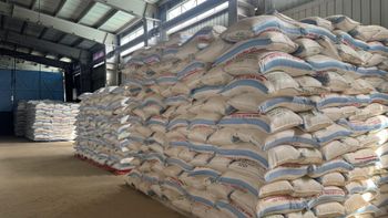 Maize (Corn) Flour Production Capacity 240 Tons Per - Marik Industrial PLC - Ethiopia