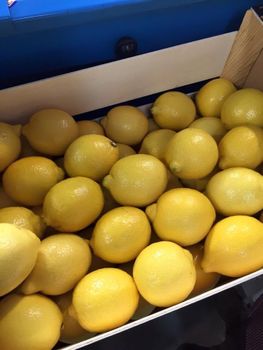 Fresh South African Lemons, Oranges, Grapefruit, Mandarins, Lime for sale, 100% Organic, NEW CROPS!! – product photo, Dried Fruits (Other) products found from trusted suppliers, wholesalers, manufacturers & exporters Listing