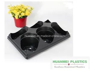 6 Holes Shuttle Trays for Flower Pots - Suzhou Huanmei Horticulture Technology Co., Ltd. - China