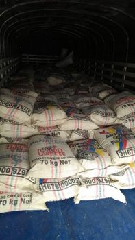 coffe Bean Type Arabica, Robusta - Food Italy Ltd  - United Kingdom