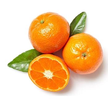 Fresh Mandarin Premium Export Quality Citrus Fruit With Natural Sweetness Rich Juice Content And Carefully Selected Harvest - TOSOH INTERNATIONAL - South Africa