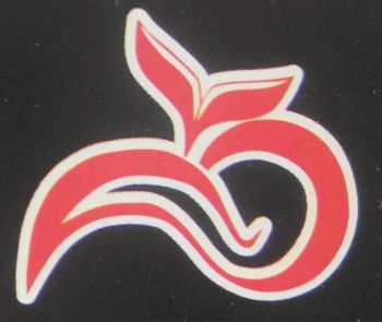 Product - Yiwu Linghuan Trade Co., Ltd. - China