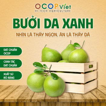 Bưởi - Pomelo Address Vietnam Brand Name OCOP Viet Packaging Details - OCOP VIET COMPANY LIMITED - Vietnam