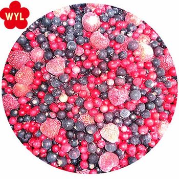 2021 hot sale frozen mixed berries strawberry blackberry raspberry blueberry lingonberry - Qingdao Wyl Imp. & Exp. Co., Ltd. - China