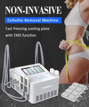 Factory Rolls out Latest Body Beauty Cryopad Body Shaping Machine with EMS Muscle Stimulation - Guangzhou Beir Electronic Technology Co., Ltd. - China