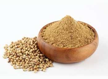Coriander Seeds & Powder Grade A Packaging - TRADE NEPAL LLC - United States