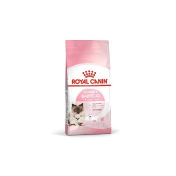 Royal Canin Trusted Pet Care Food Formula Bulk Supply Fast Export Delivery - Koto Global Trade SPRL - Belgium
