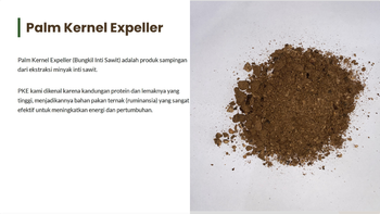 Palm kernel expeller - PT. Sukses Karya Sudaryo - Indonesia