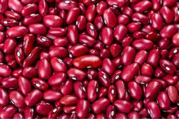 Beans Kidney  Background Texture Of Red Kidney Beans, Kidney Beans, Red Bean, BeansPile - Free photo on Pixabay Red Kidney Beans Stock Photos, Images and Backgrounds for Free Download - Balingi Trading Company (PTY) Ltd - South Africa