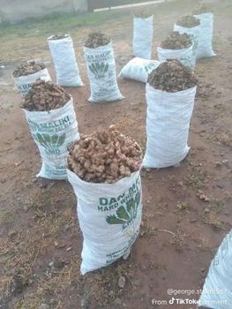 Ginger,Garlic,charcoal from Roy Ginger,Garlic,charcoal - Roy - Ghana